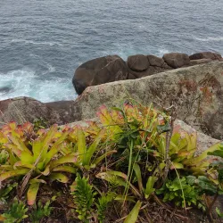 Praia do Aventureiro - Angra dos Reis