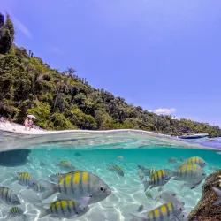 Praia do Dentista - Angra dos Reis