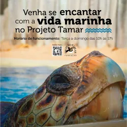Oceanarium of Aracaju (Projeto Tamar) - Aracaju