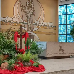 Igreja Matriz de Araçatuba - Aracatuba