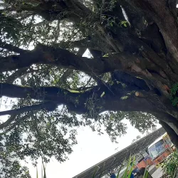 Museu Histórico e Pedagógico de Araçatuba - Aracatuba