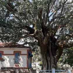Museu Histórico e Pedagógico de Araçatuba - Aracatuba