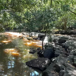 Parque Ecológico de Araçatuba - Aracatuba
