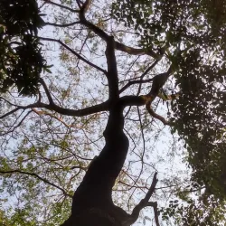 Parque Ecológico de Araçatuba - Aracatuba