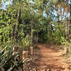 Parque Ecológico de Araçatuba - Aracatuba