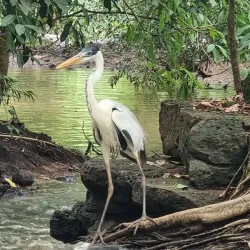 Parque Ecológico de Araçatuba - Aracatuba