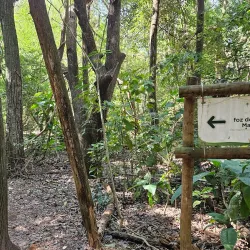 Parque Ecológico de Araçatuba - Aracatuba
