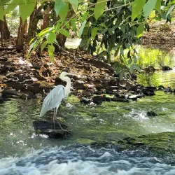 Parque Ecológico de Araçatuba - Aracatuba