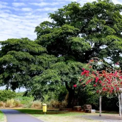 Parque Cimba - Araguaína