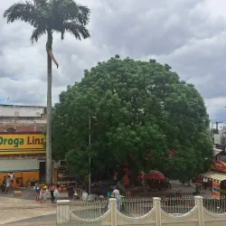 Igreja Matriz de Nossa Senhora do Bom Conselho - Arapiraca