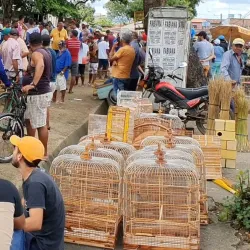 Mercado Público de Arapiraca - Arapiraca