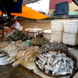 Mercado Público de Arapiraca - Arapiraca