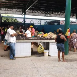 Mercado Público de Arapiraca - Arapiraca