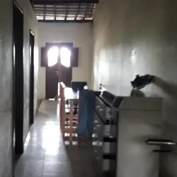 Museu do Algodão - Arapiraca