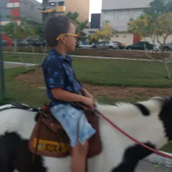 Parque Ceci Cunha - Arapiraca