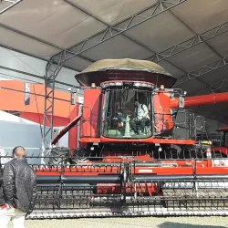 Feira do Produtor Rural de Araranguá - Araranguá