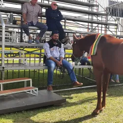 Feira do Produtor Rural de Araranguá - Araranguá