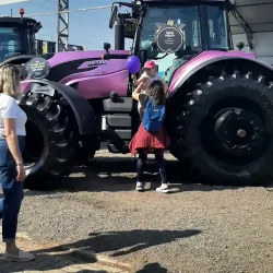 Feira do Produtor Rural de Araranguá - Araranguá