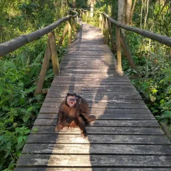 Parque Ecológico Municipal de Araranguá - Araranguá