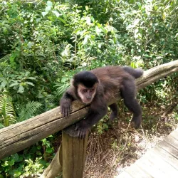 Parque Ecológico Municipal de Araranguá - Araranguá