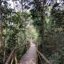 Parque Ecológico Municipal de Araranguá - Araranguá