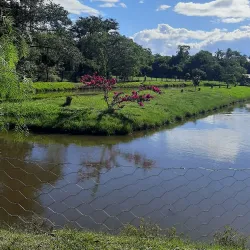 Parque Ecológico Municipal de Araranguá - Araranguá