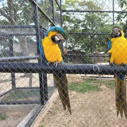 Parque Ecológico Municipal de Araranguá - Araranguá