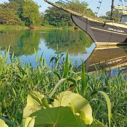 Rio Araranguá - Araranguá