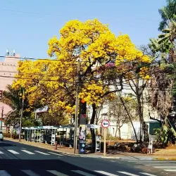Centro Cultural de Araraquara - Araraquara