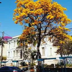 Centro Cultural de Araraquara - Araraquara