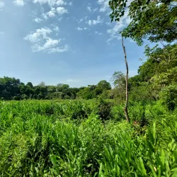Parque do Basalto - Araraquara