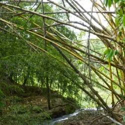 Parque do Basalto - Araraquara