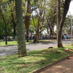 Parque Infantil da Fonte - Araraquara