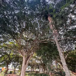 Parque Infantil da Fonte - Araraquara