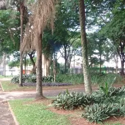 Parque Infantil da Fonte - Araraquara