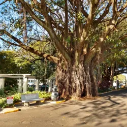 Praça da Fonte - Araraquara