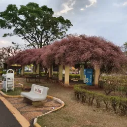Praça da Fonte - Araraquara