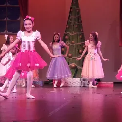 Teatro Municipal de Araraquara - Araraquara