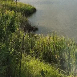 Parque das Águas - Araras