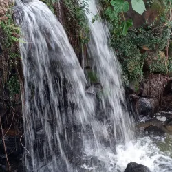 Parque Ecológico de Araras - Araras