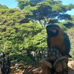 Praça Barão do Rio Branco - Araras