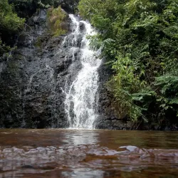 Avaré Reservoir (Represa de Avaré) - Avaré