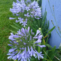 Clube de Campo de Avaré - Avaré