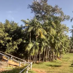 Parque Ecológico de Avaré - Avaré