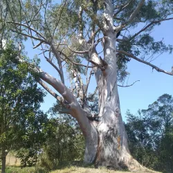 Parque Ecológico de Avaré - Avaré