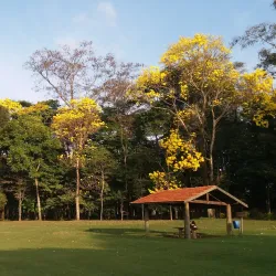 Parque Municipal de Avaré - Avaré