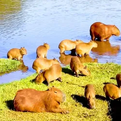 Parque Municipal de Avaré - Avaré