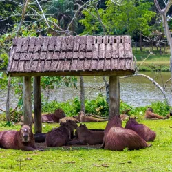 Parque Municipal de Avaré - Avaré