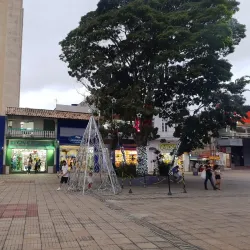 Praça da Matriz - Avaré
