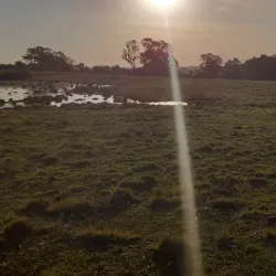 Forte de Santa Tecla - Bagé